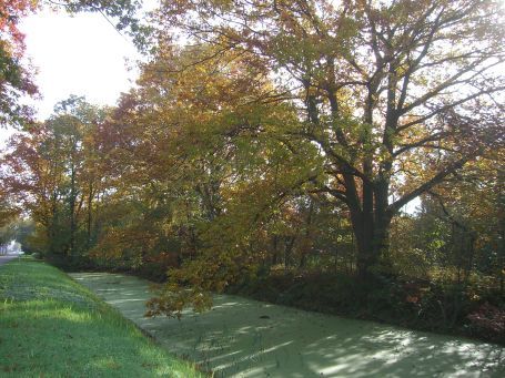 De Peel : Kanaalweg, Moorlandschaft, Herbstimpressionen